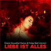 Liebe ist alles - DJane HouseKat&Darius & Finlay&Bad Unicorn