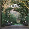 你答应我的事 (越南版) - 辛禄乐队