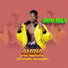 Amina - Don Max