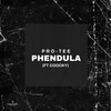 Phendula (feat. Coocky) - Pro-Tee&Coocky