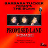 Promised Land (Homage) (Micky More & Andy Tee Edit) - The BCrew&Barbara Tucker&Micky Moore&Andy Tee