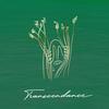 Transcendance (Explicit) - Feyz
