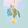 Lemon - 末末罹