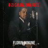 O Zi Calda, Una Rece - Florin Minune