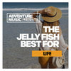 Best For Life - The Jellyfish