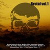 Rolling - Minimal Monkey