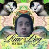 Shine (Explicit) - Nick Tara