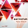 Consciousness - Barmohak