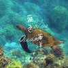 蓝色海洋（DJ版） - 吉芮