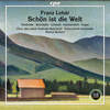 7 Szene: Niemand hat uns bemerkt - Franz Lehár-Orchester&Marius Burkert&Thomas Blondelle&Sieglinde Feldhofer&Chor des Lehár Festivals Bad Ischl&Franz Lehár&Ludwig Herzer&Fritz Löhner-Beda