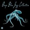 Shes Near Shes Far - The New Jazz Collective