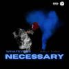 Necessary (Explicit) - Bully Three