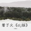 着了火《dj版》 - 付俊玉