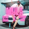 Mula (Explicit) - Ricky Brixx