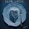 How 2 Feel - Lisa K