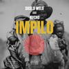 Impilo (feat. Nvcho) - Sicelo welo&Nvcho