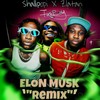 Elon Musk (Remix|Explicit) - Shallipopi&Fireboy DML&Zlatan