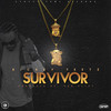 Survivor (Explicit) - Rickey Teetz