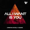 All I Want Is You (Extended Mix) - Christina Novelli&Cquenz