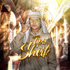 MÁ INFLUÊNCIA - DJ CR SHEIK&Dj Ld da Favelinha&Mc Scar