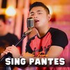 Sing Pantes - Nanda Feraro