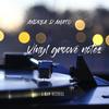 Vinyl Groove Notes - Andrea D'Amato