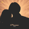 Promise - Favro