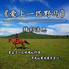 爱上一匹野马(伴奏) - 精彩浩恩