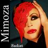 Lule Mimoze (feat. Mimoza Mustafa) (Radio Edit) - Shkumbin Kryeziu&Mimoza Mustafa