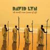 (Outro) The Pulse of Light - David Lyn