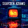 Things Were Left Unsaid - Shayden Adams