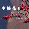 木棉花开 - 木子黑