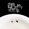 自由的种子还有一半 - 大粉乐队