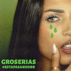 GROSERÍAS - Aissa&Toni Anzis