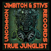 True Junglist (Jimbitch & Stivs remix) - Jimbitch&Stivs&Mista Jago&Deemas J