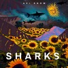Sharks - Avi Snow