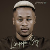 Move Your Body - Limpopo Boy&Dj Gizo&Bunny Energizer&Bayor97