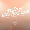 Tesão de Vaca Pras Loca (Explicit) - DJ Meno GMZ&DJ Jhow ZS&Yuri Redicopa&Mc Daniel dn