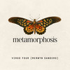 Metamorphosis - Virgo Four&Lois DuPlessis