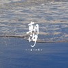 朝汐 (其他) - 十八薰&椋霁子