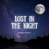 Lost in the Night - Roberto Pedoto