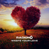 Waste Your Love - Radion6