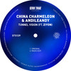 Tunnel Vision (feat. Ziyon) (Radio Edit) - China Charmeleon&AndileAndy&Ziyon