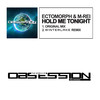 Hold Me Tonight (Winterlake Classic UK Hardcore Remix) - Ectomorph&M-Rei&Winterlake
