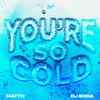 You're So Cold - MATTN&DJ SODA