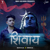 Shivay - Shivaa&Mikka