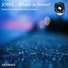 Where Is Pedro? (Real Gone Kid's Lost in the Crowd Remix) - Josel&Real Gone Kid