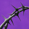Spine - Federico Baroni