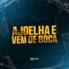 AJOELHA E VEM DE BOCA (Explicit) - DJ GHR&MC Fefe Da ZL&MC VN CRIA