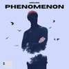 Phenomenon - Honjok